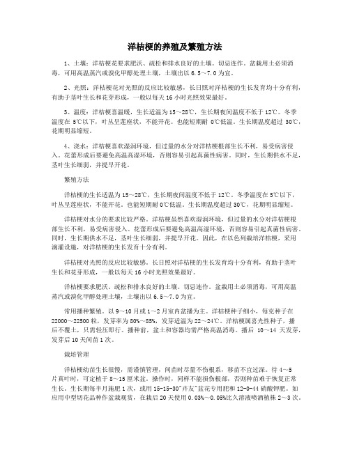 洋桔梗的养殖及繁殖方法