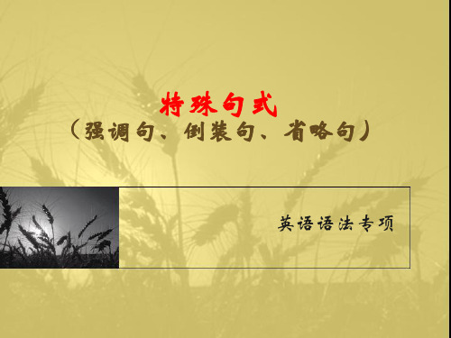 英语语法-特殊句式