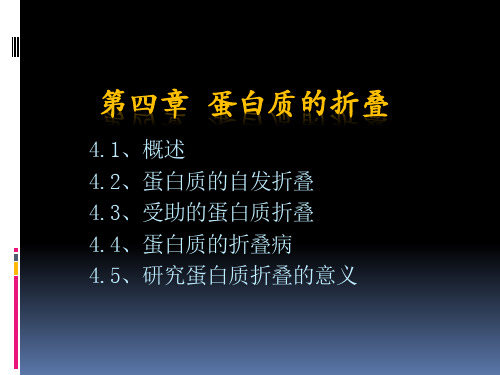 第4章 蛋白质折叠