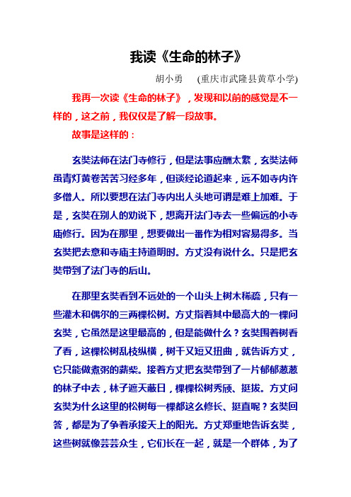 我读《生命的林子》