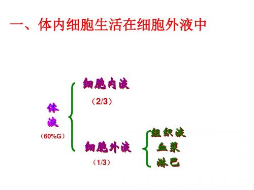 人教版高中生物必修三课件：1.1 细胞生活的环境 (共13张PPT)