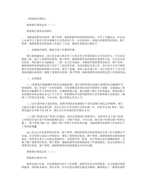 制度执行情况(总结10篇)