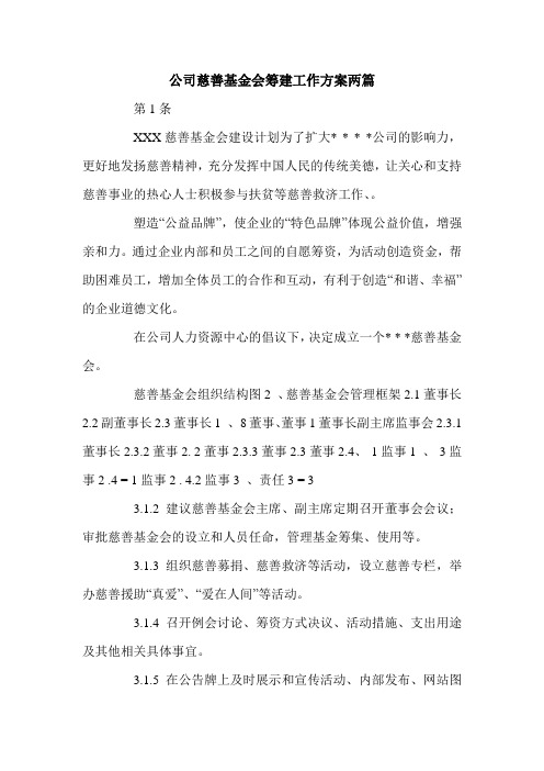 公司慈善基金会筹建工作方案两篇.doc