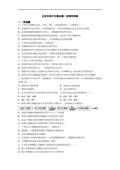 北京市高中生物必修一试卷和答案