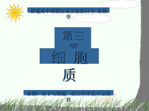 细胞质ppt优秀课件