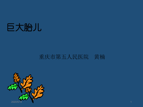 巨大胎儿黄楠PPT课件