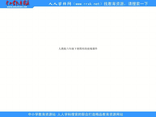 人教版六年级下册图形的放缩课件