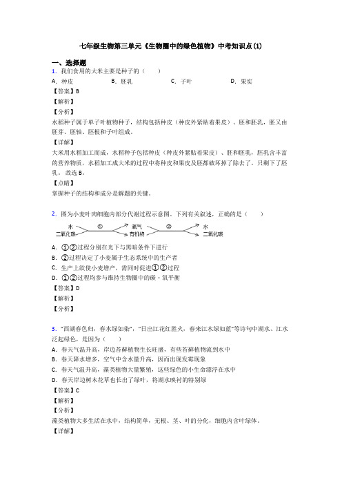 七年级生物第三单元《生物圈中的绿色植物》中考知识点(1)