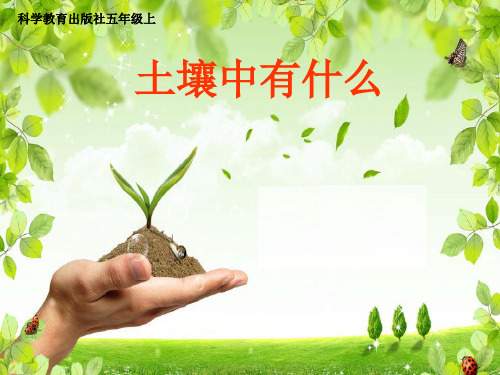 五年级上册科学课件 土壤中有什么教科版 (共21页)PPT