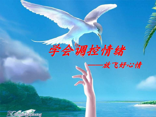 《学会调控情绪——放飞好心情》心理健康教育 ppt课件