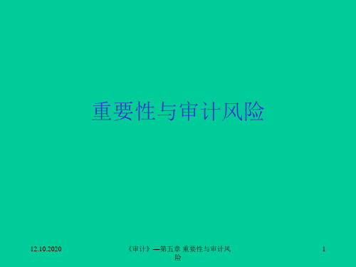 审计的重要性与风险