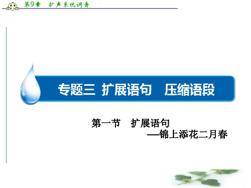 【课堂新坐标】高三语文一轮复习课件：语言文字运用 专题三 第1节 扩展语句(共35张PPT)