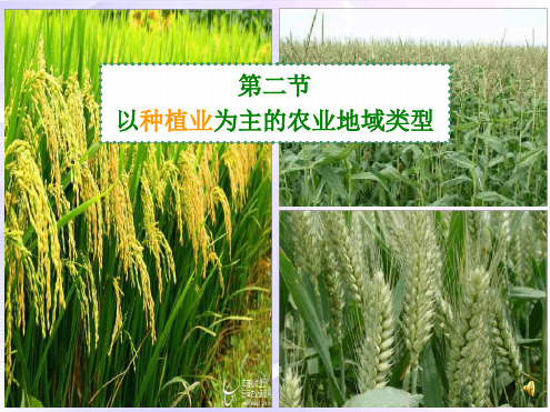 32以种植业为主的农业地域类型演示课件