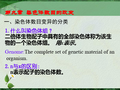 第九章 染色体的数目变异