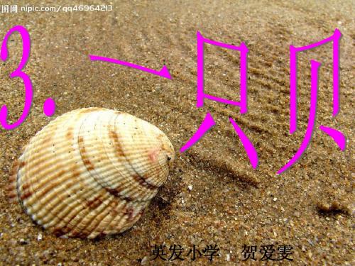 3.一只贝(老顽童课件)
