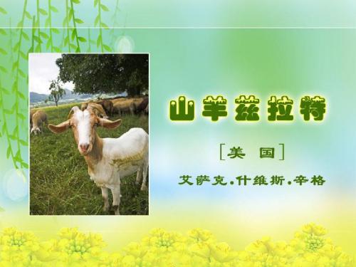 《山羊兹拉特》(课件)