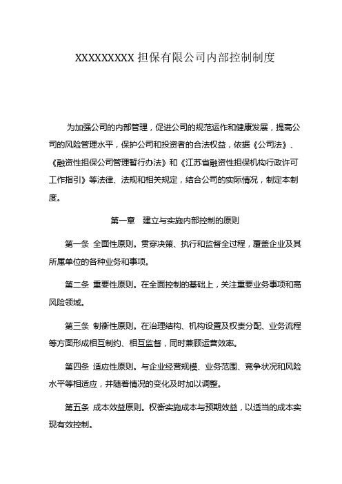 担保有限公司内部控制制度