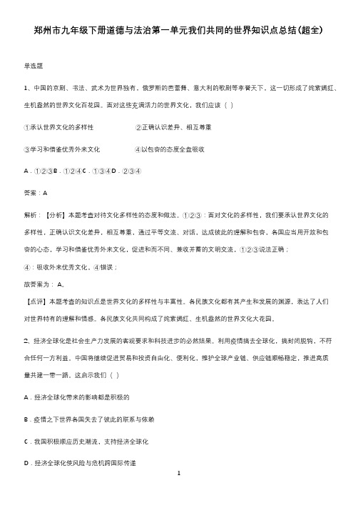 郑州市九年级下册道德与法治第一单元我们共同的世界知识点总结(超全)