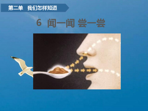一年级上册科学 -第二单元  6 闻一闻 尝一尝 青岛版(六年制)ppt课件