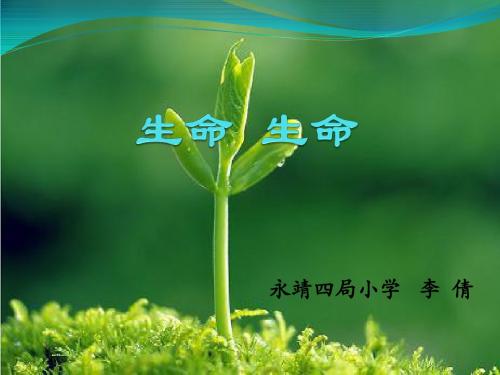 19.生命生命(完美版)