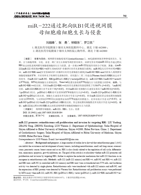 miR-222通过靶向RB1促进视网膜母细胞瘤细胞生长与侵袭