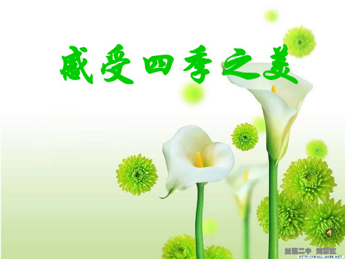初中语文人教版(部编)七年级上册热爱生活,热爱写作