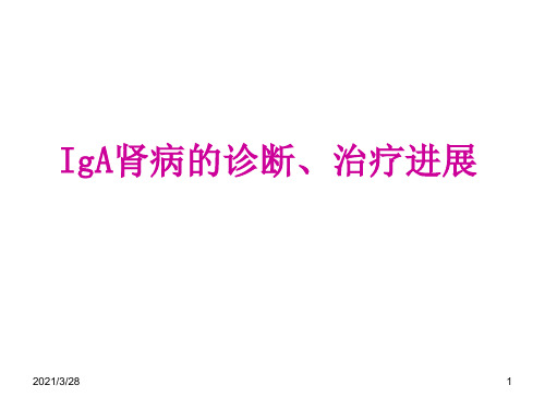 IgA肾病的诊治进展
