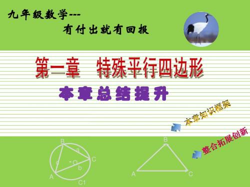 第一章总结上课课件北师大九年级上