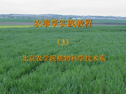 农事学实践教程