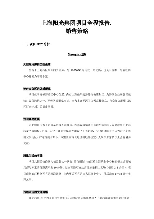 集团项目全程报告销售策略