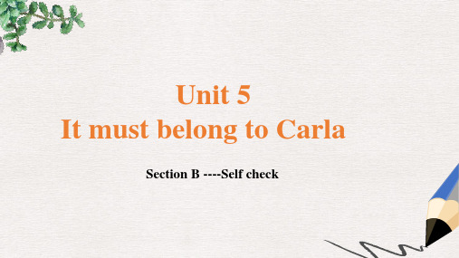 九年级英语全册Unit8ItmustbelongtoCarlaSectionB_SelfCheck课件新版