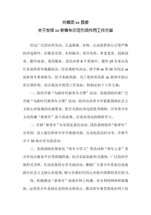 共青团新青年示范引领工作方案