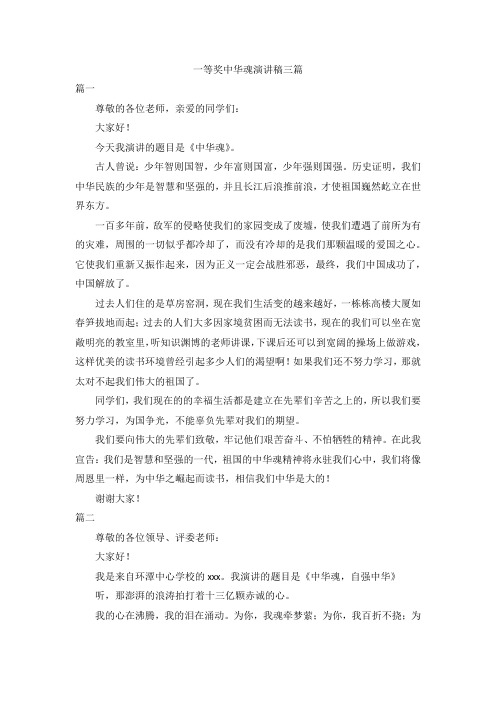 一等奖中华魂演讲稿三篇