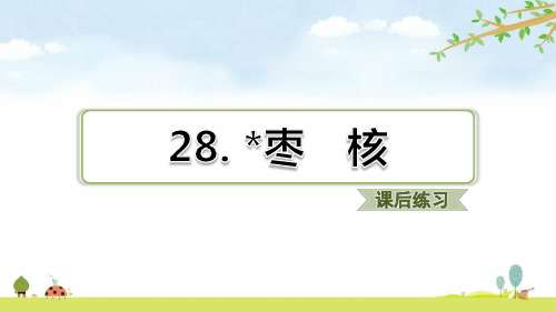 第28课 枣核(课后练习)