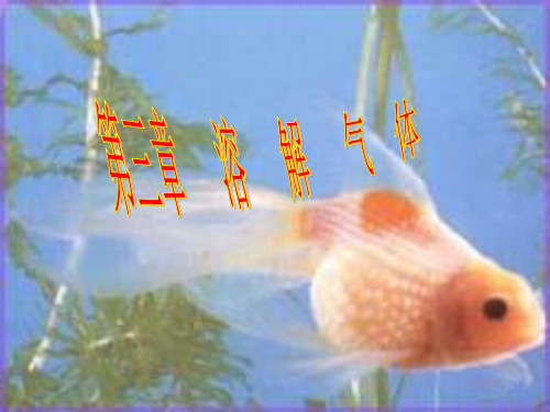 第3章 溶解氧精品PPT课件