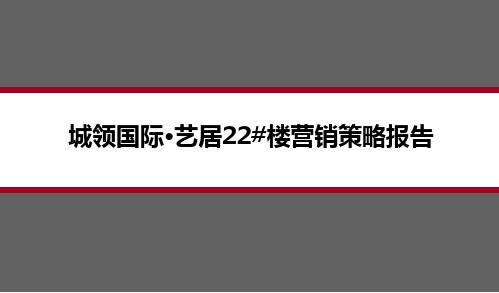 房地产营销策略报告
