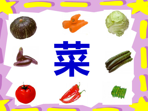 《菜园里》第一课时PPT课件