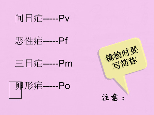 四种疟原虫镜下图(1)