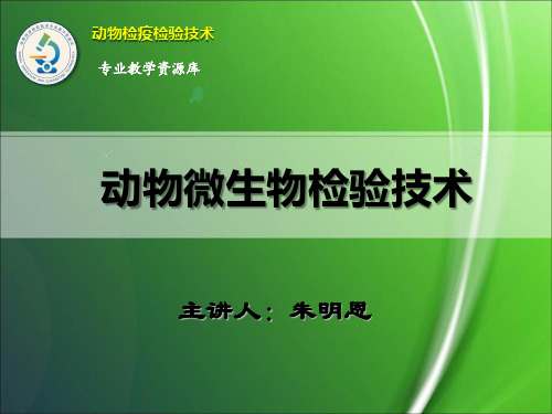 SS培养基的制备.