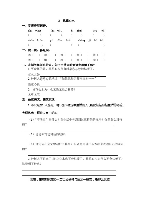桃花心木练习题
