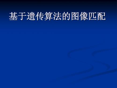 基于遗传算法的图像匹配