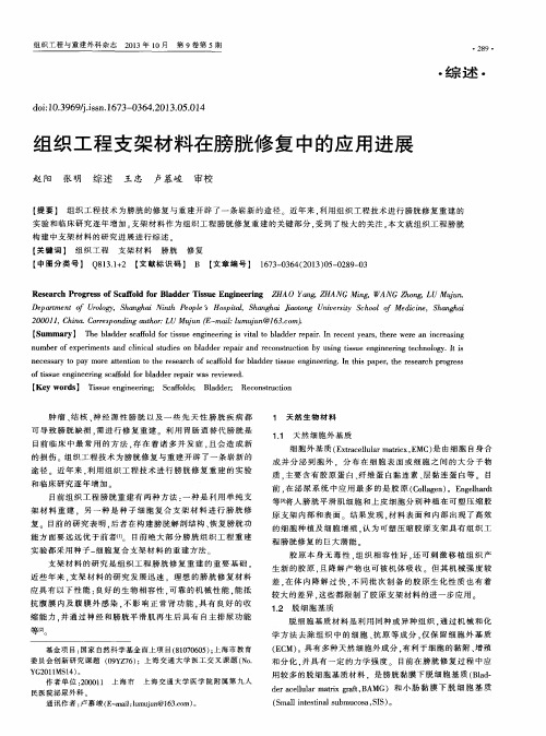 组织工程支架材料在膀胱修复中的应用进展