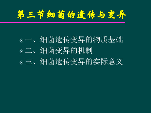 第三节  细菌的遗传和变异PPT课件
