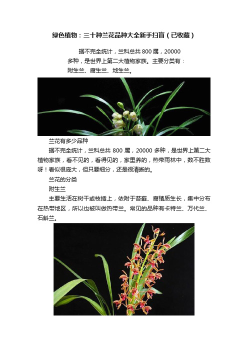 绿色植物：三十种兰花品种大全新手扫盲（已收藏）