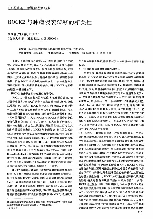 ROCK2与肿瘤侵袭转移的相关性