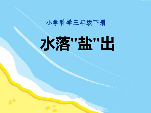 《2 水落“盐”出》PPT课件(河南省县级优课)