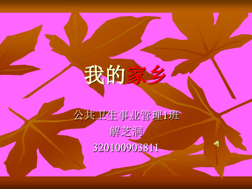 ppt我的家乡——宁晋