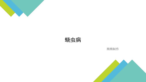 蛲虫病
