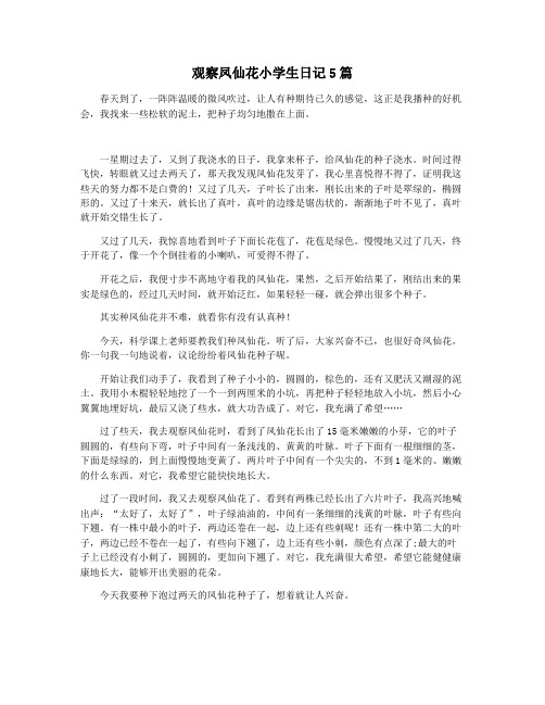 观察凤仙花小学生日记5篇
