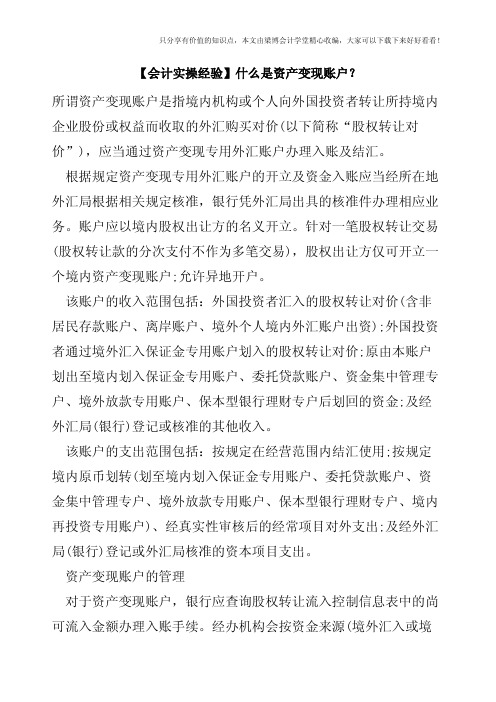 【会计实操经验】什么是资产变现账户